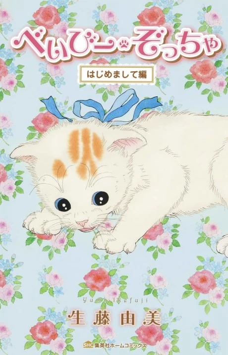 Baby Zoccha (Official)